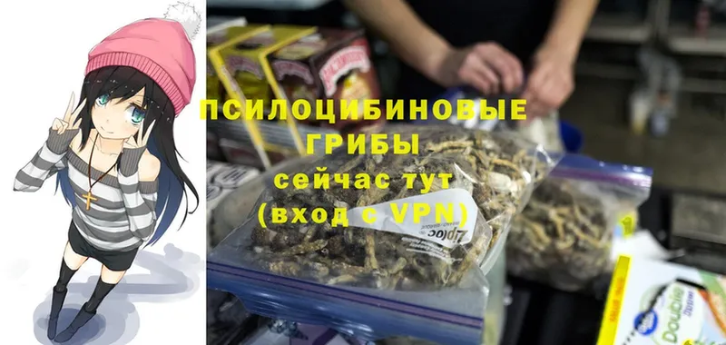 магазин  наркотиков  Елизово  Псилоцибиновые грибы Cubensis 